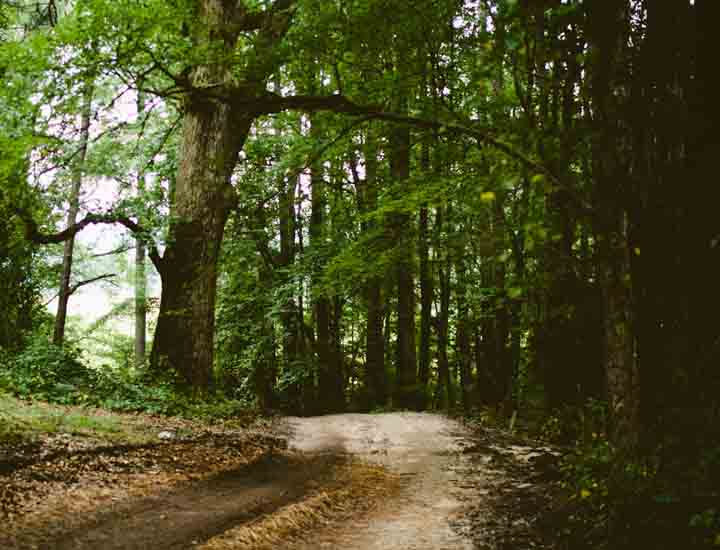 在线短信云呼网