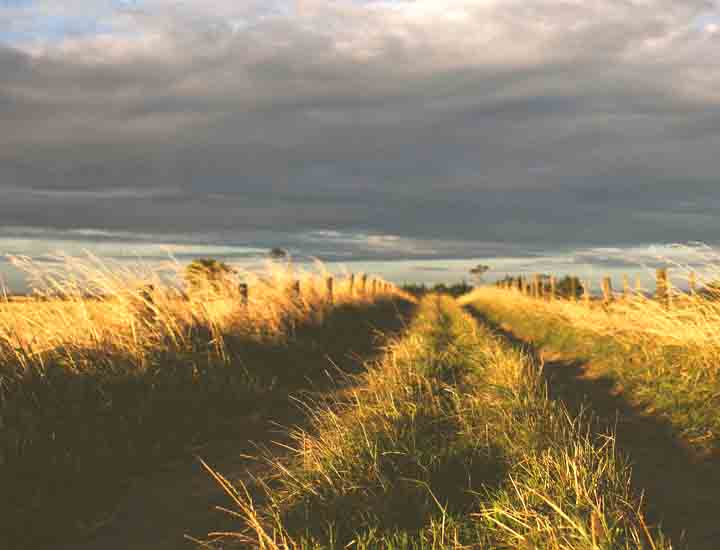 自动保存防丢的呼叫轰炸神器